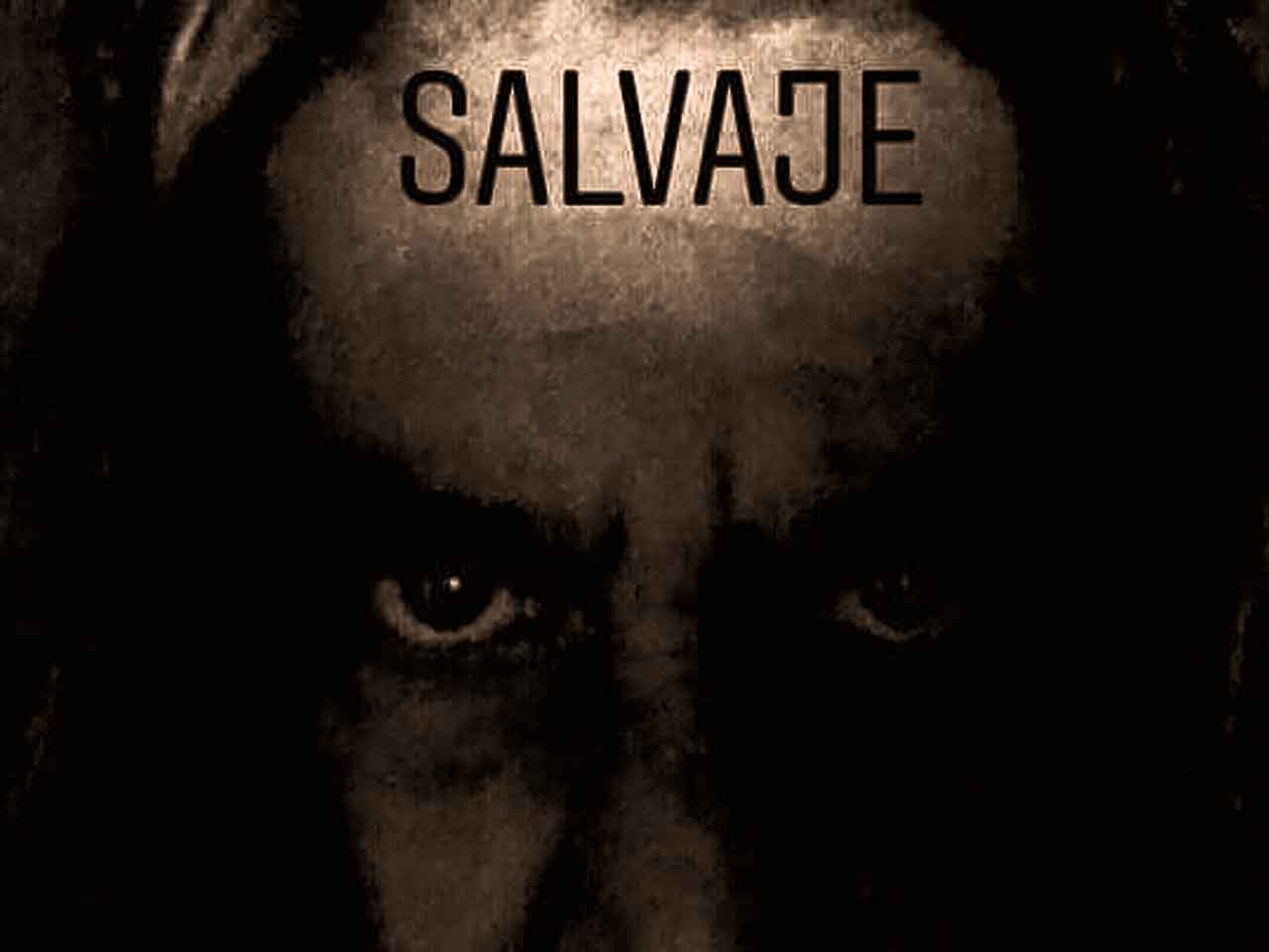 Lee más sobre el artículo VDA